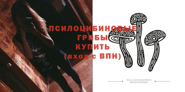 apvp Нягань