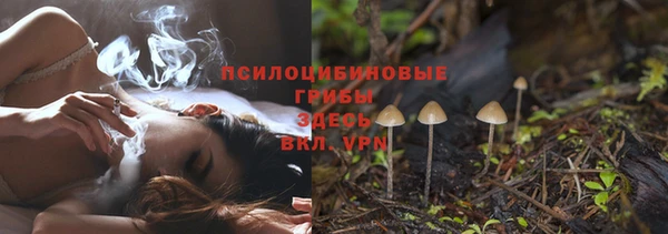 дживик Няндома