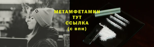 дживик Няндома