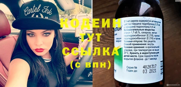 дживик Няндома