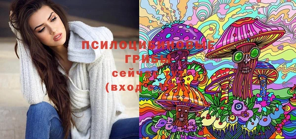 apvp Нягань