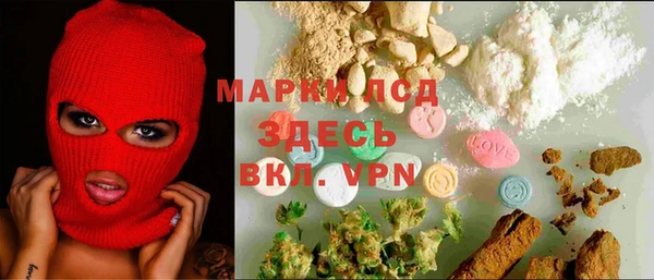 дживик Няндома