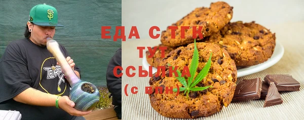 дживик Няндома