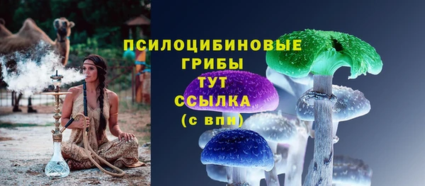 стаф Нязепетровск