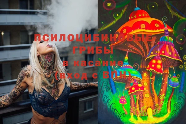 стаф Нязепетровск