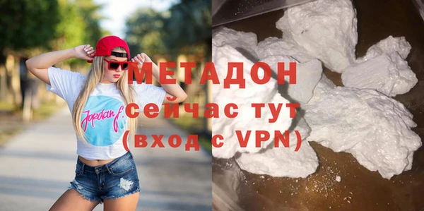 дживик Няндома
