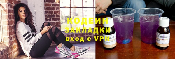 дживик Няндома